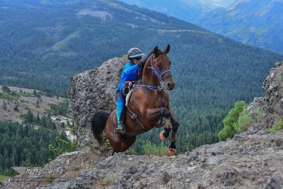 The Benefits of Keeping Horses Barefoot with Renegade Hoof Boots