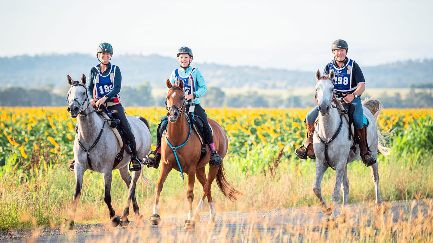 hoof boots for endurance horses