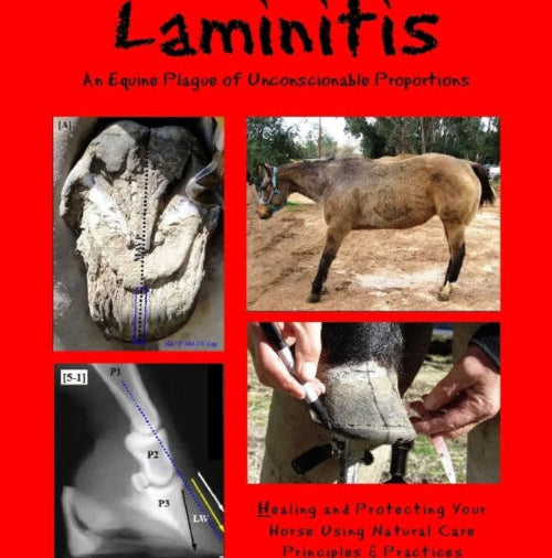 Laminitis: A Plague of Unconscionable Proportions