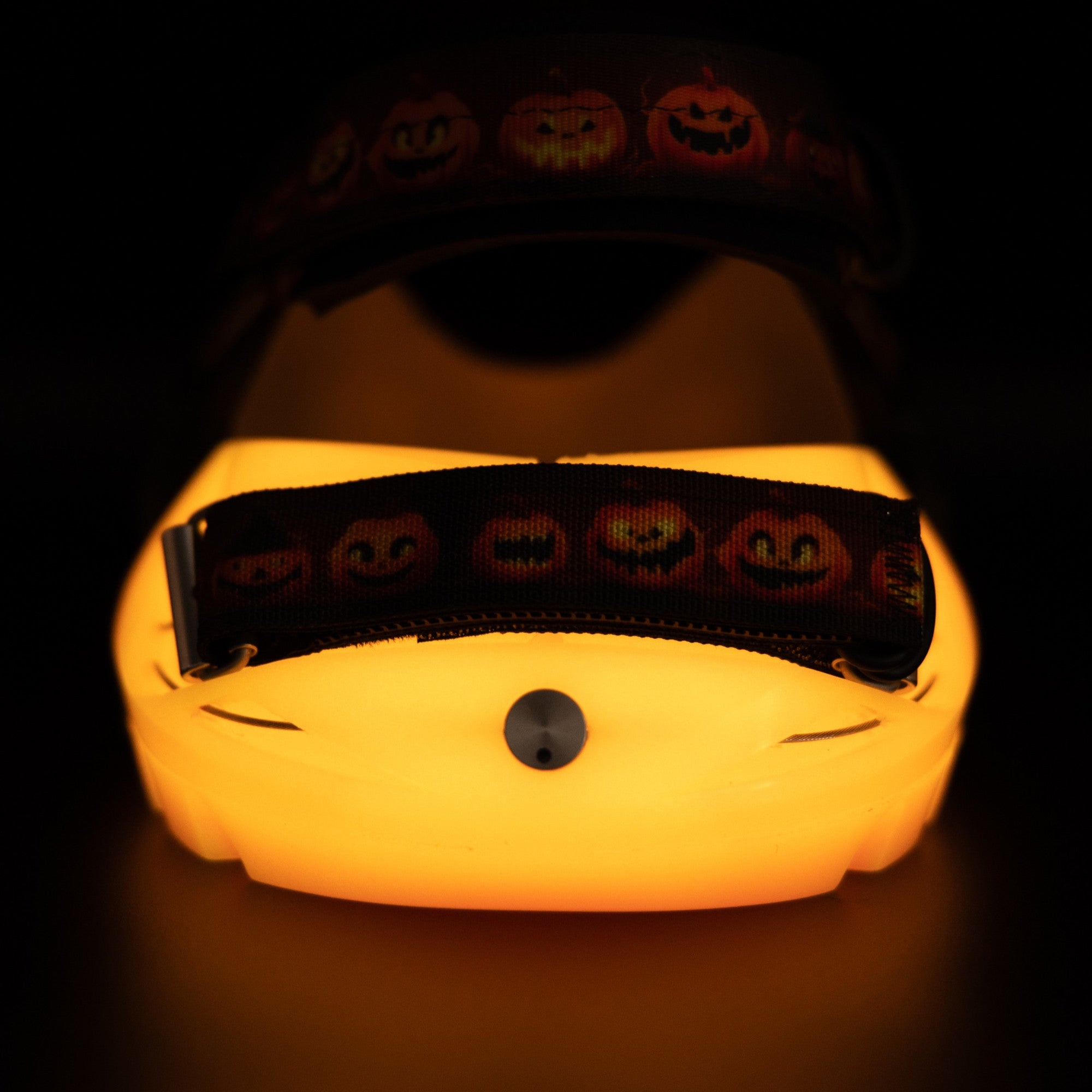 Renegade® Viper™ LE - Karibischer Traum