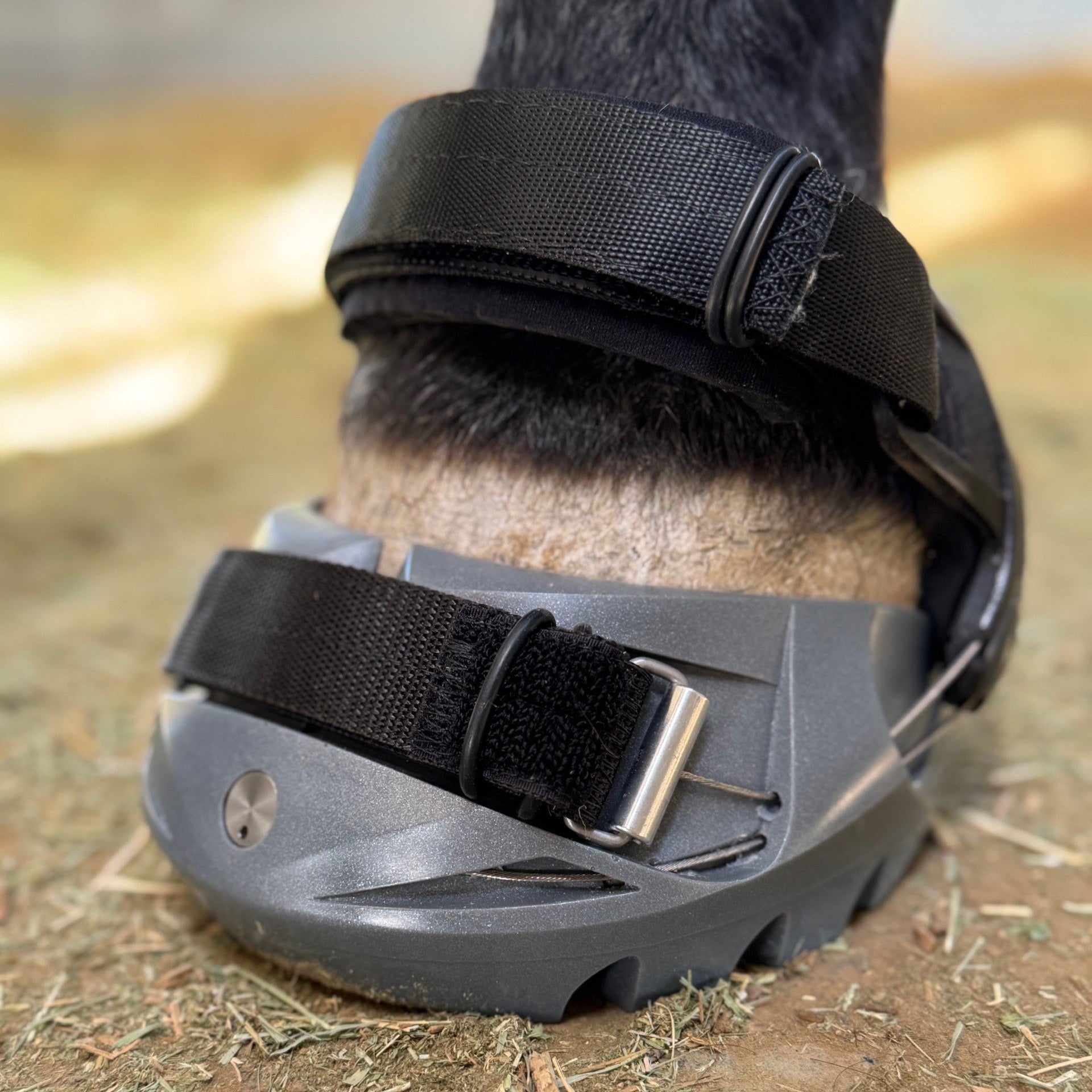 Renegade® Viper Vivid™ Hoof Boot - Silver Streak