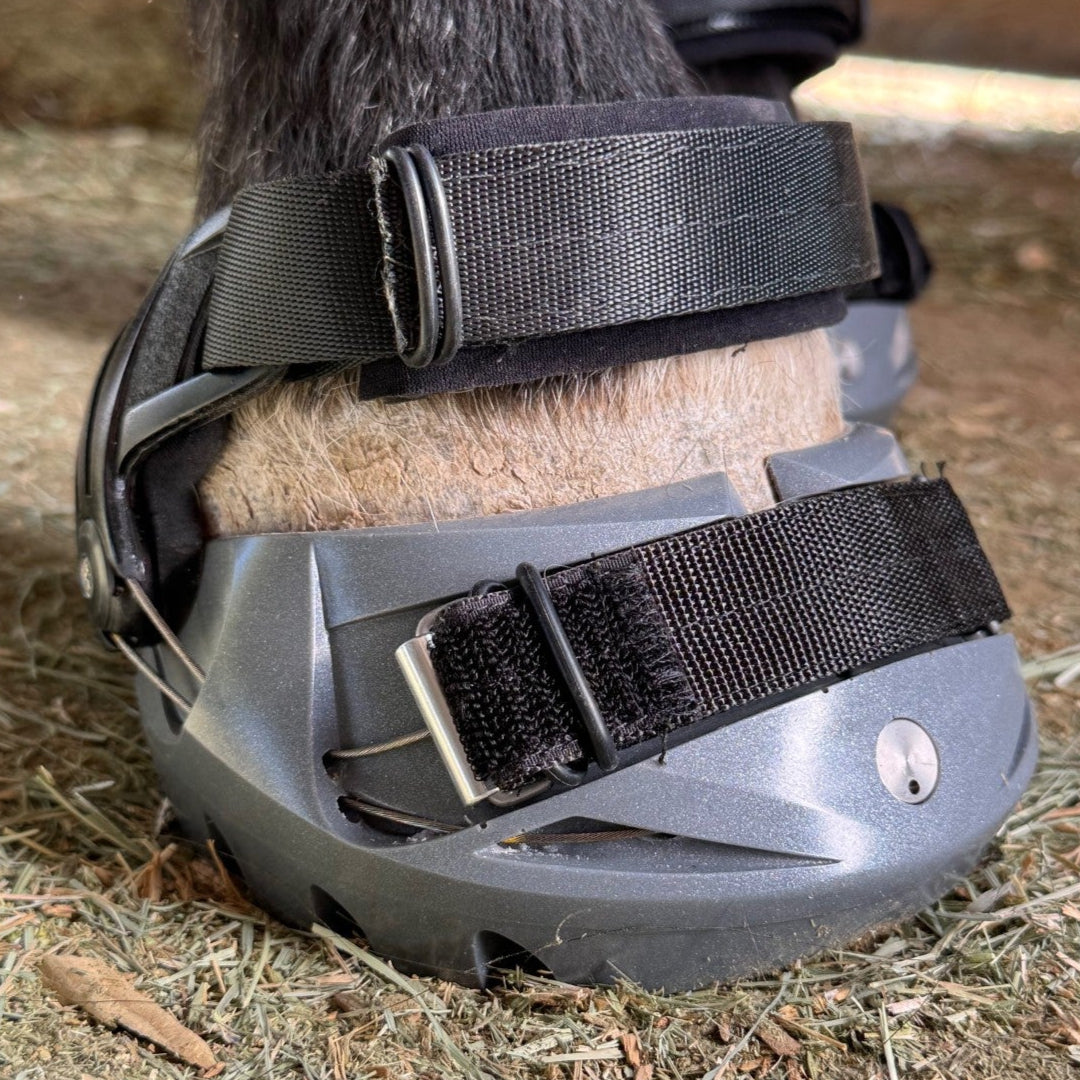 Renegade® Viper Vivid™ Hoof Boot - Silver Streak