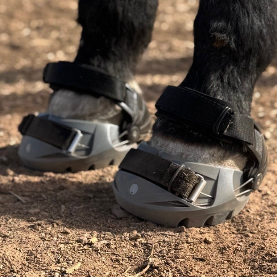 Renegade® Viper Vivid™ Hoof Boot - Silver Streak