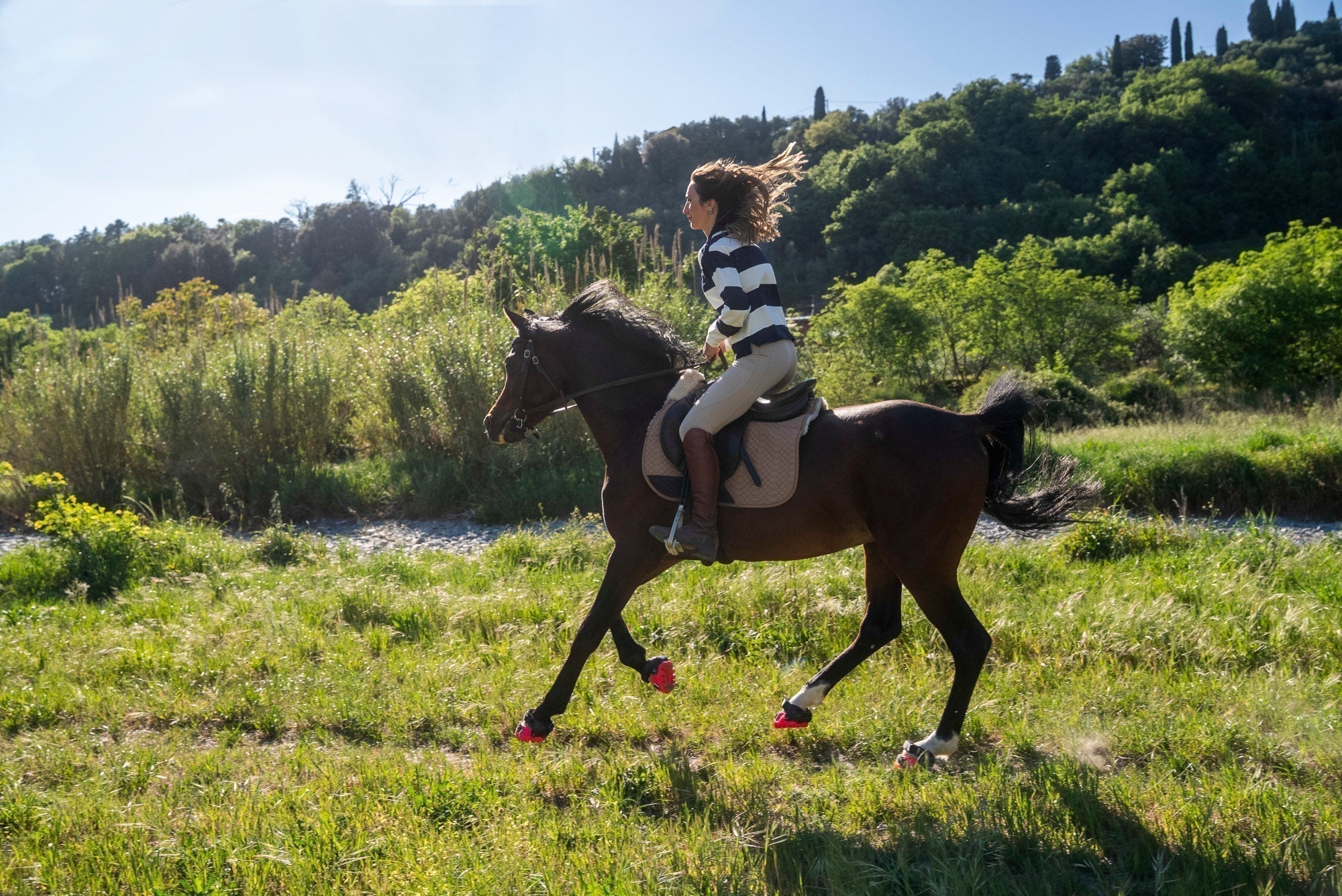 How Hoof Boots significantly reduce impact compared to Metal Horseshoes