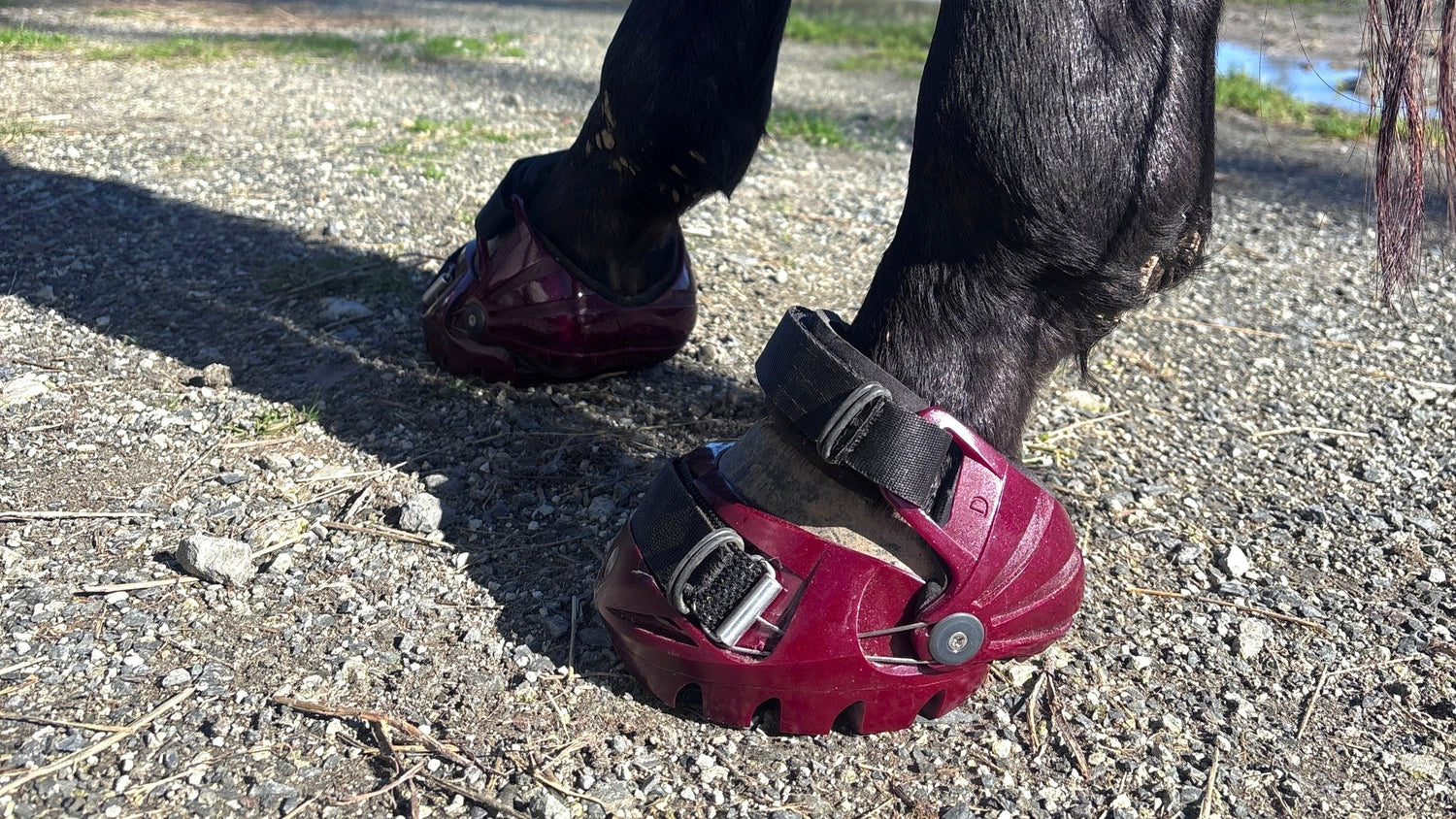 Heel Captivator Positioning