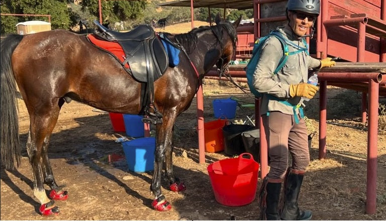 Mojave's Triumphant Return: From Rescue to Endurance Victory