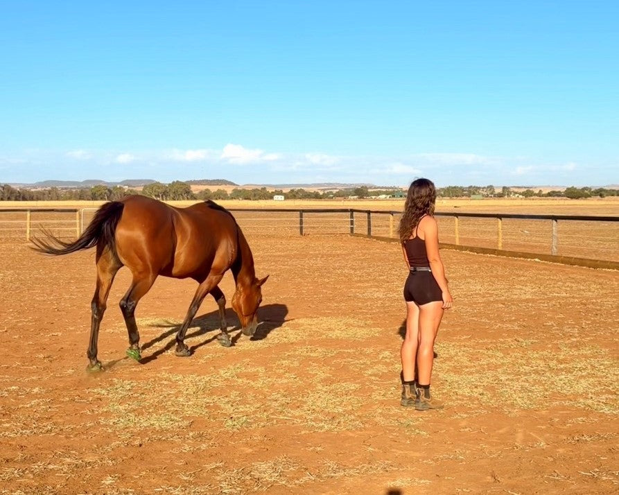 Barefoot liberty with @hannah.read.horses in Australia