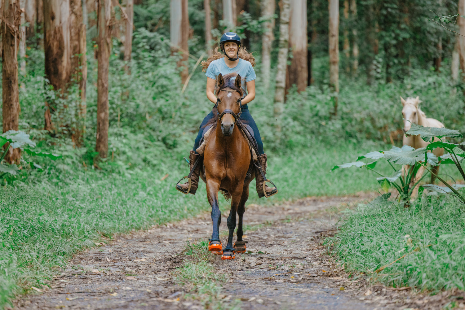 Renegades in the Australian Bush & Beach with @myhorsewillow