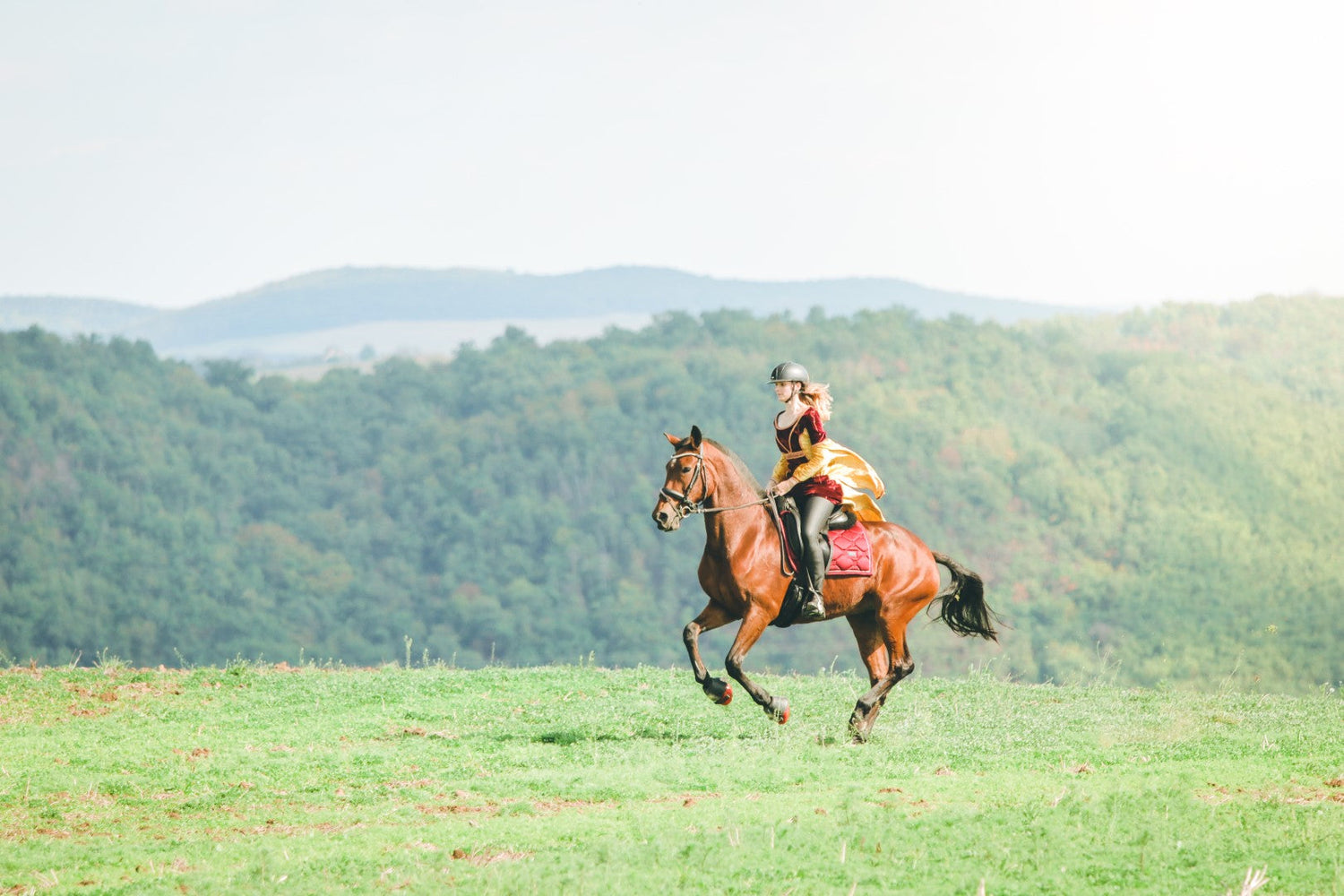 Nail the Perfect Fit: Why Measuring (and Getting Expert Help!) Matters for Your Horse's Hoof Boots