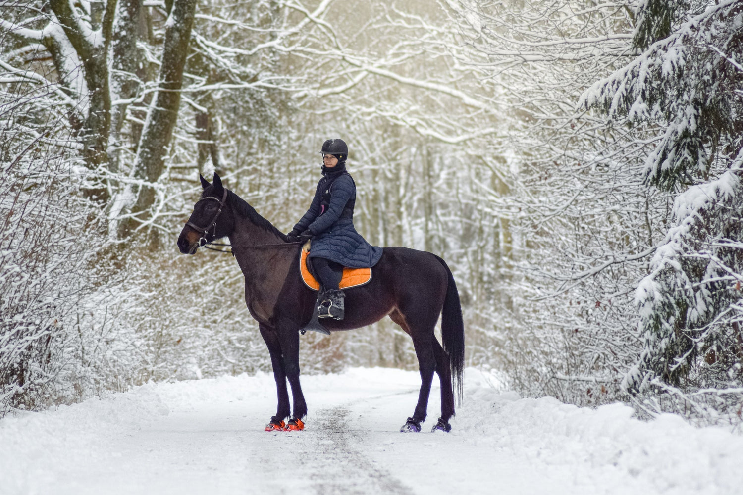 Hoof boots in Swedish Snow with @horzemix
