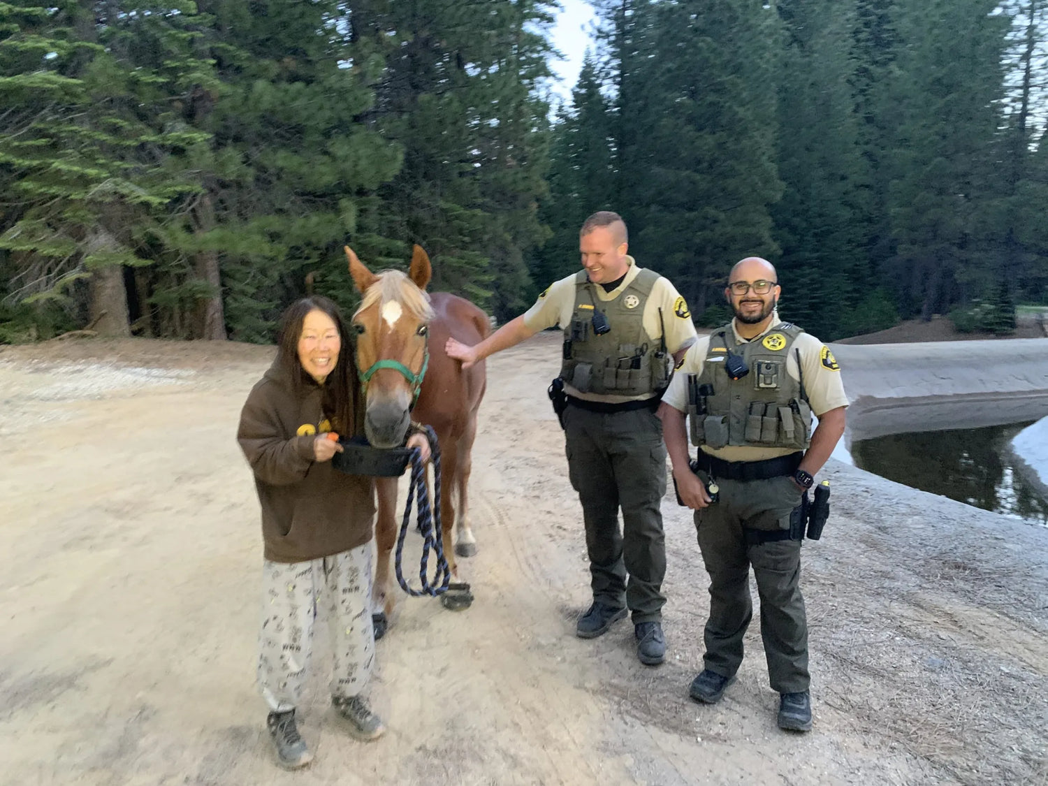 Sparky's 7-Day Wilderness Survival: How Renegade Hoof Boots Saved a Lost Horse's Hooves and Brought Him Home