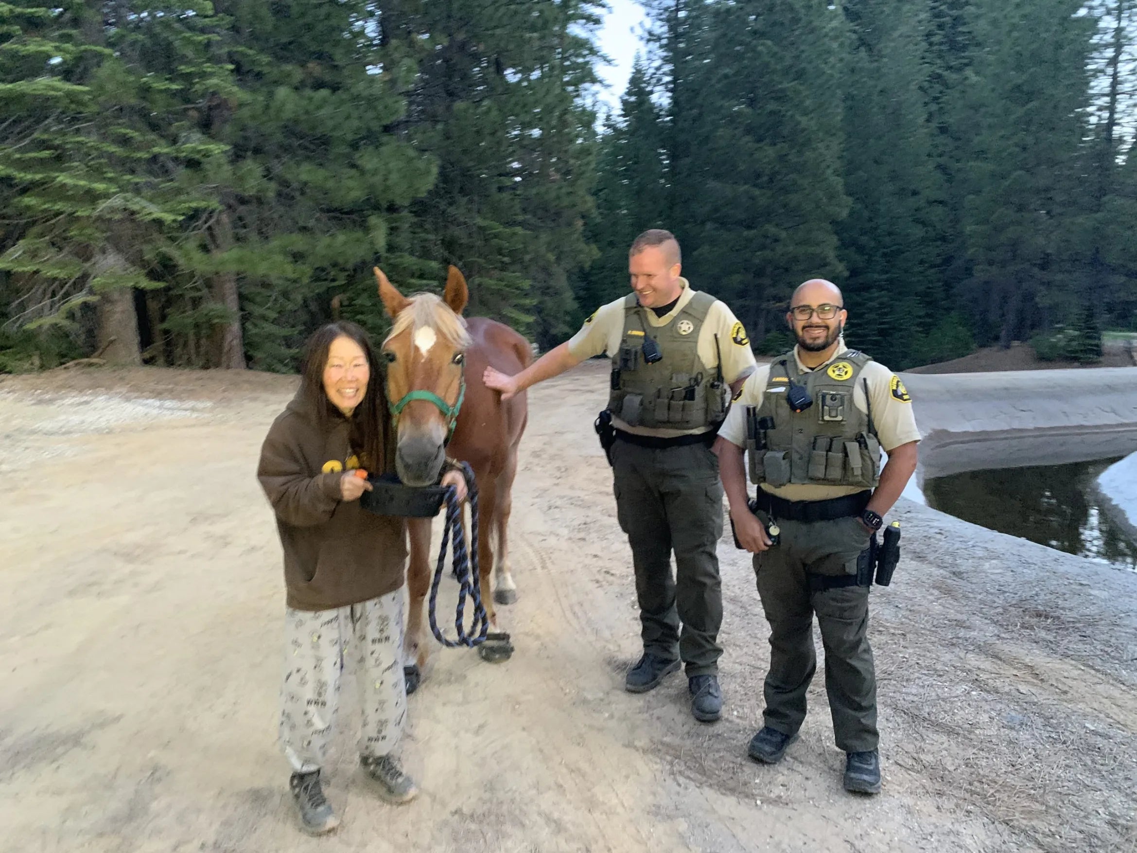 Sparky's 7-Day Wilderness Survival: How Renegade Hoof Boots Saved a Lost Horse's Hooves and Brought Him Home