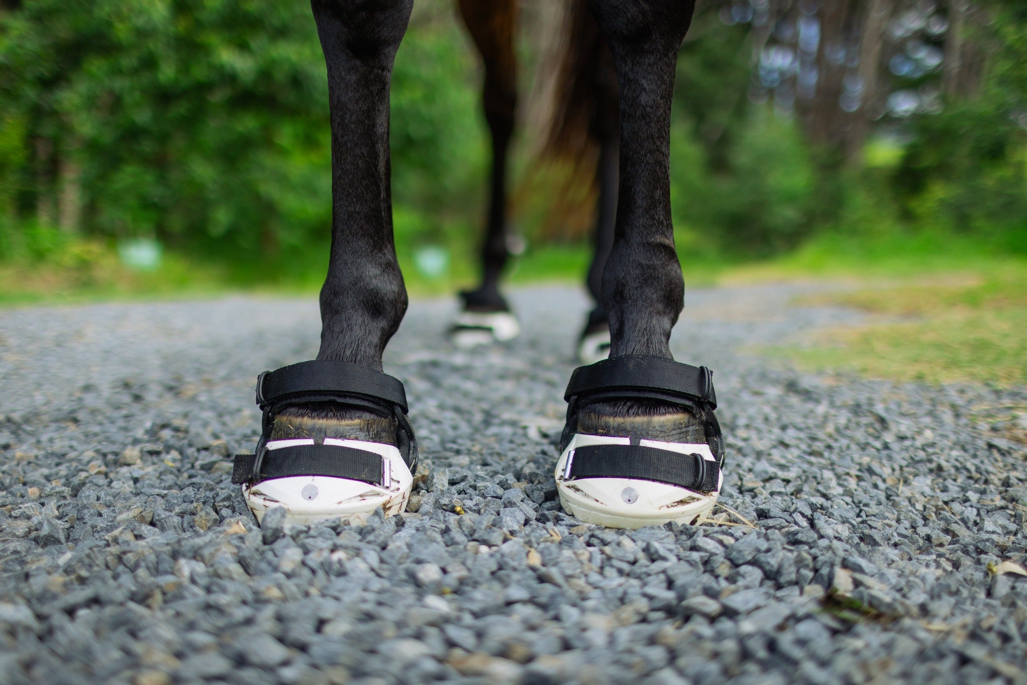 What are horse boots, or hoof boots anyway?