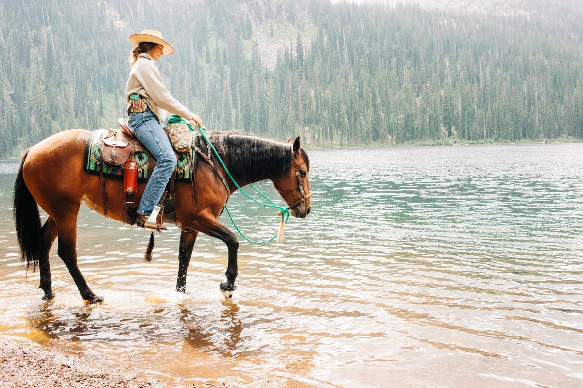 What are hoof boots - or horse boots - anyway?