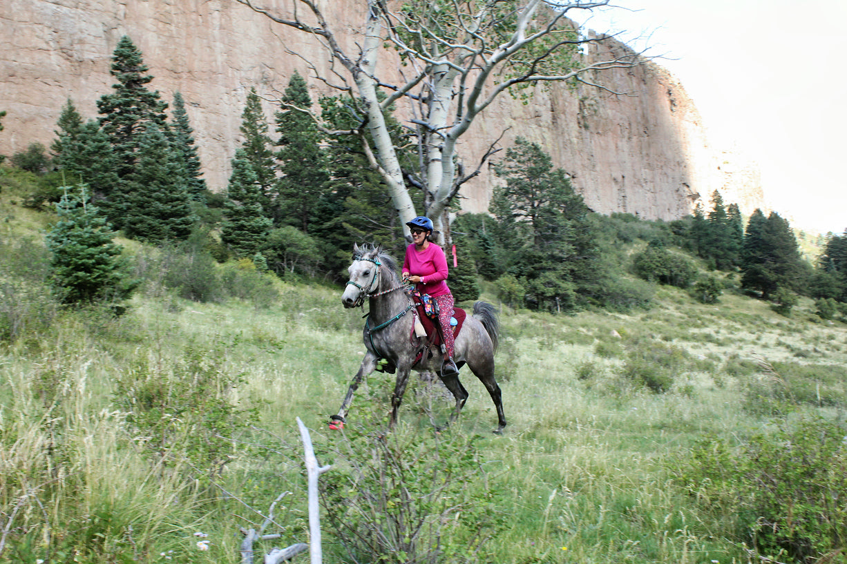 Renegade® Hoof Boots in Wyoming & Endurance Riding