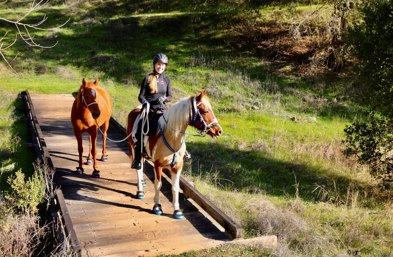 Endurance riding & R+ with @california.endurance
