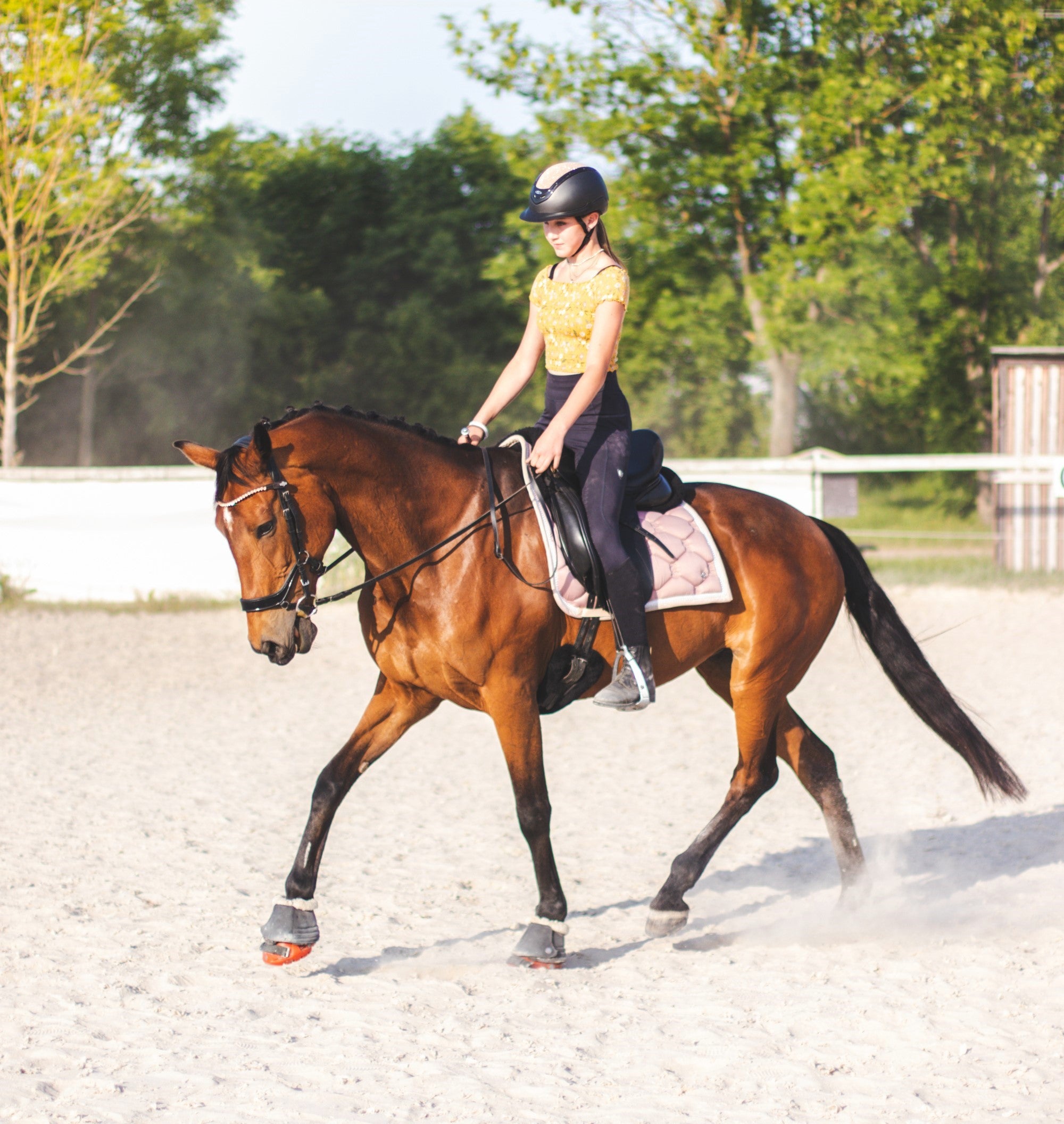 Adjusting the cables of your Renegade hoof boot