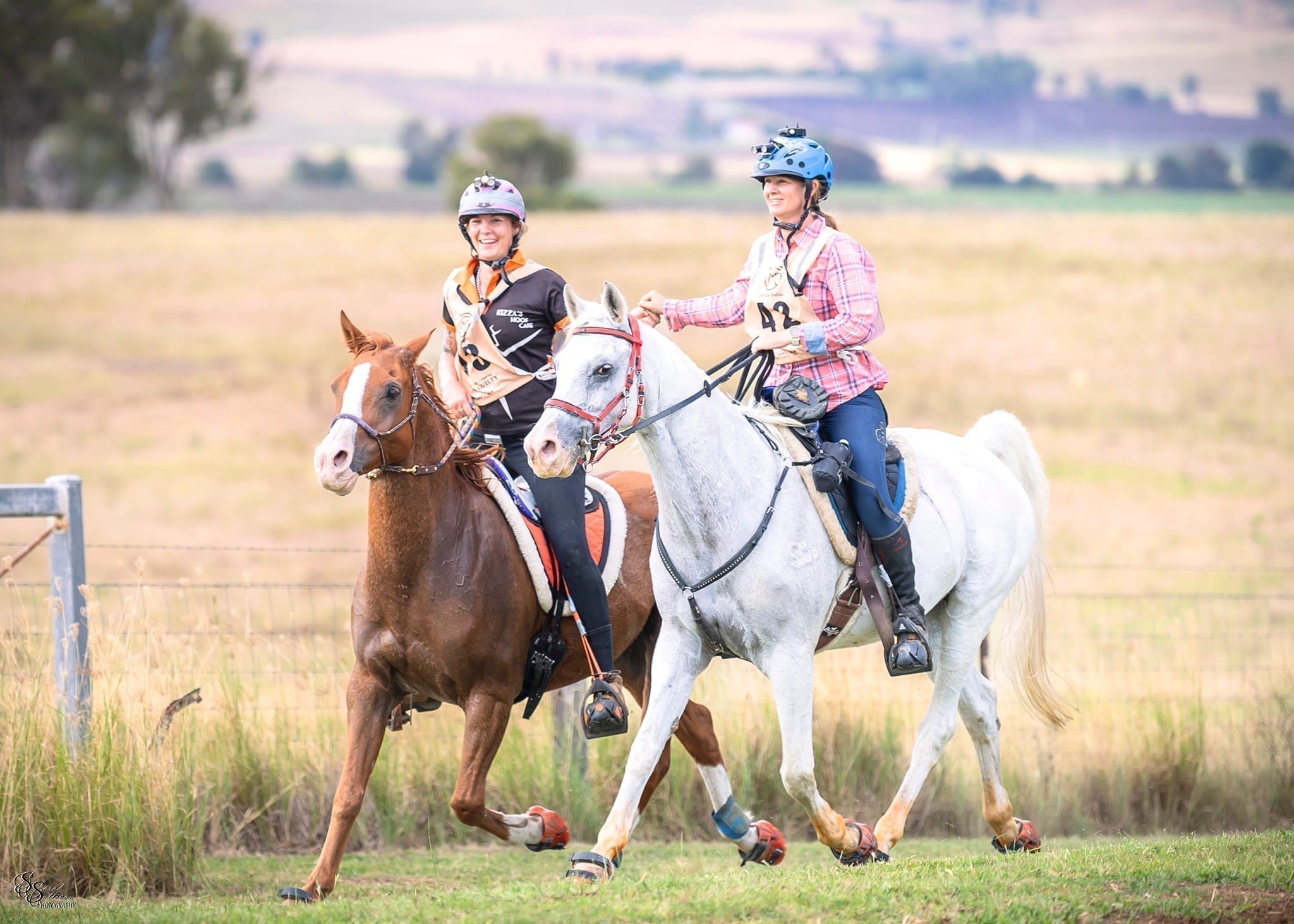 Extend Hoof Boot Life: Why Renegade’s Replaceable Parts Are the Smart Choice