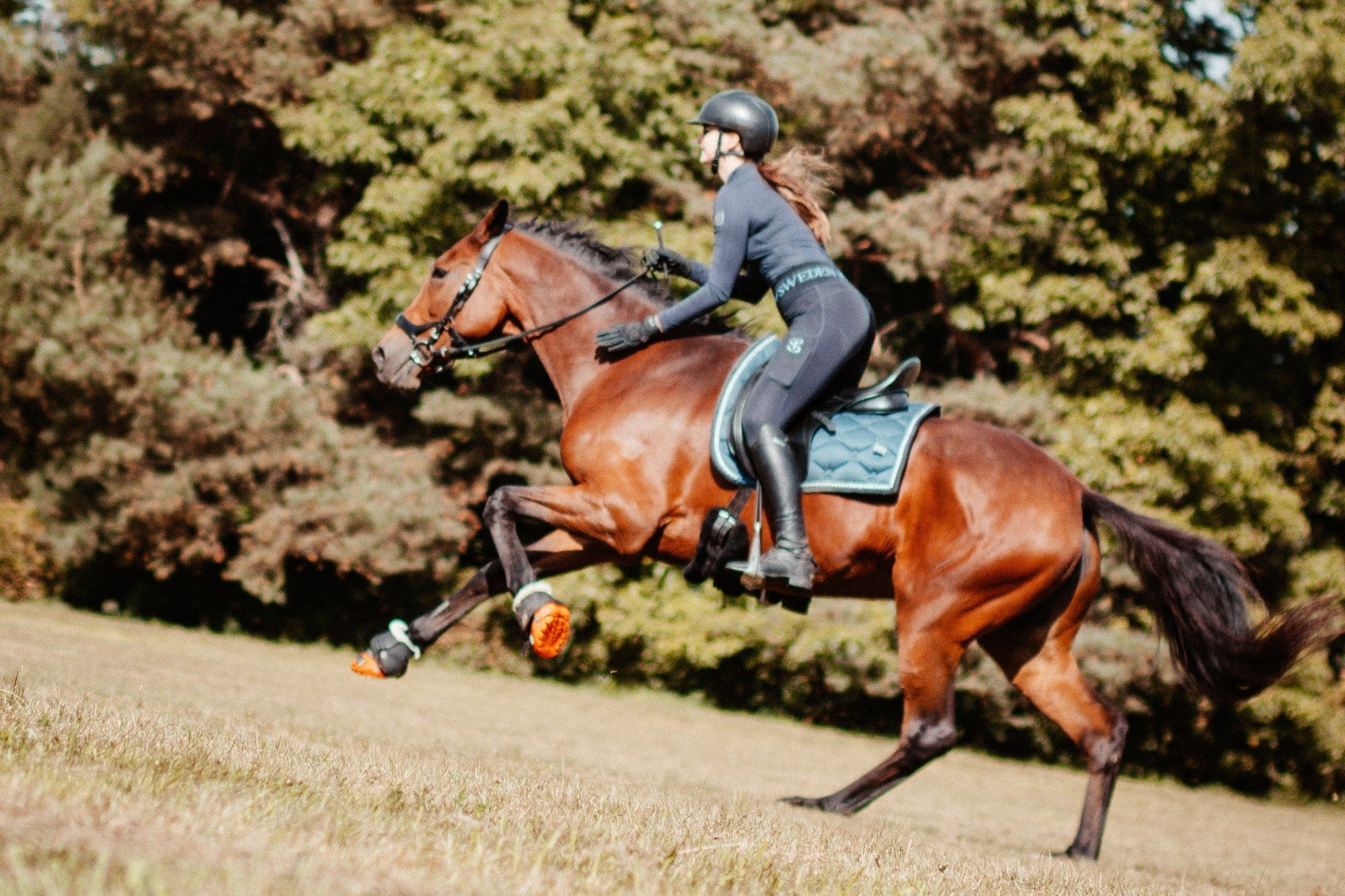 How to put on your horse's Renegade® hoof boots