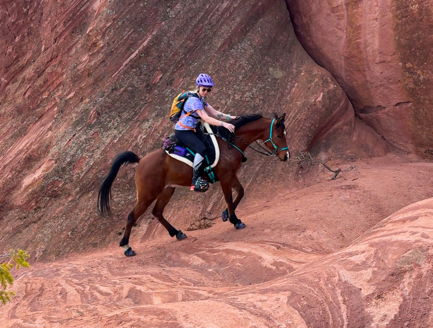 Endurance Riding in Hoof Boots with @highdesert.runner