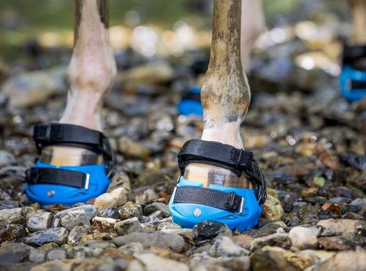 Optimizing Hoof Health for Renegade Hoof Boot Success