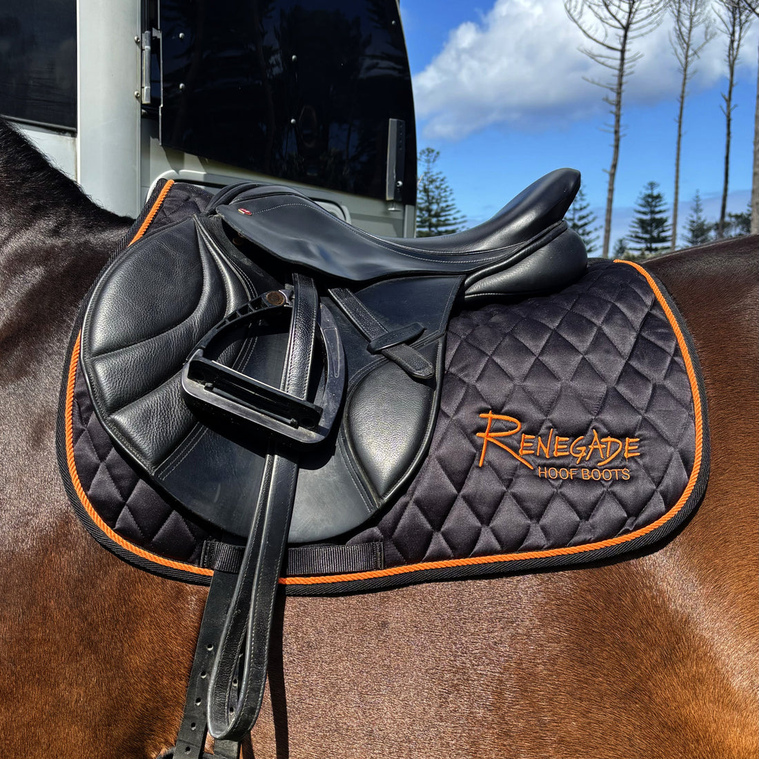 Renegade® English Saddle Pad - Black