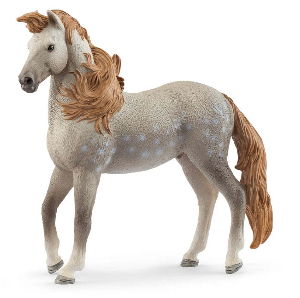 Schleich Collectible Horses - Andalusian Stallion Grey
