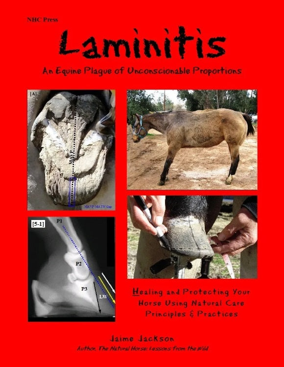 Laminitis: A Plague of Unconscionable Proportions