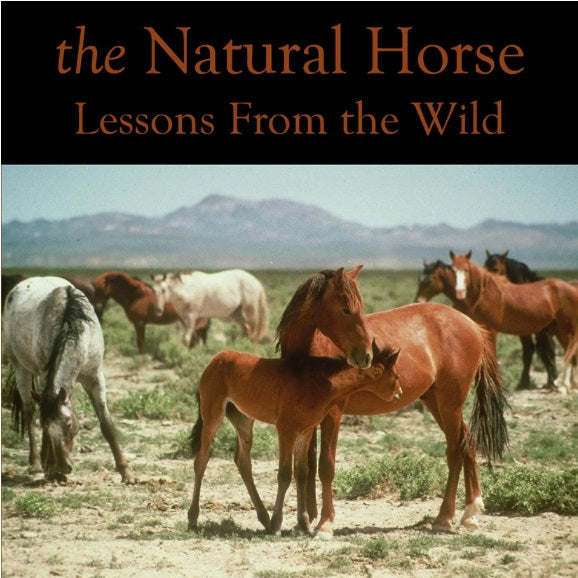 The Natural Horse: Lessons from the Wild