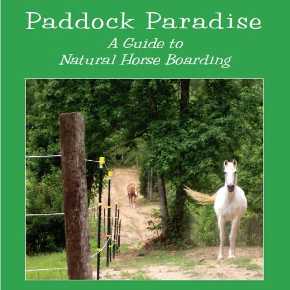 Paddock Paradise: Una guía para el alojamiento natural de caballos