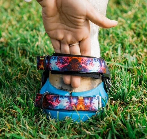 Printed Pastern Strap: Galaxy